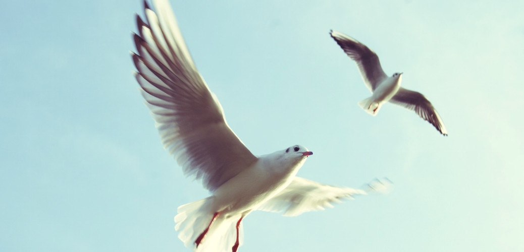 4 Steps to Financial Freedom